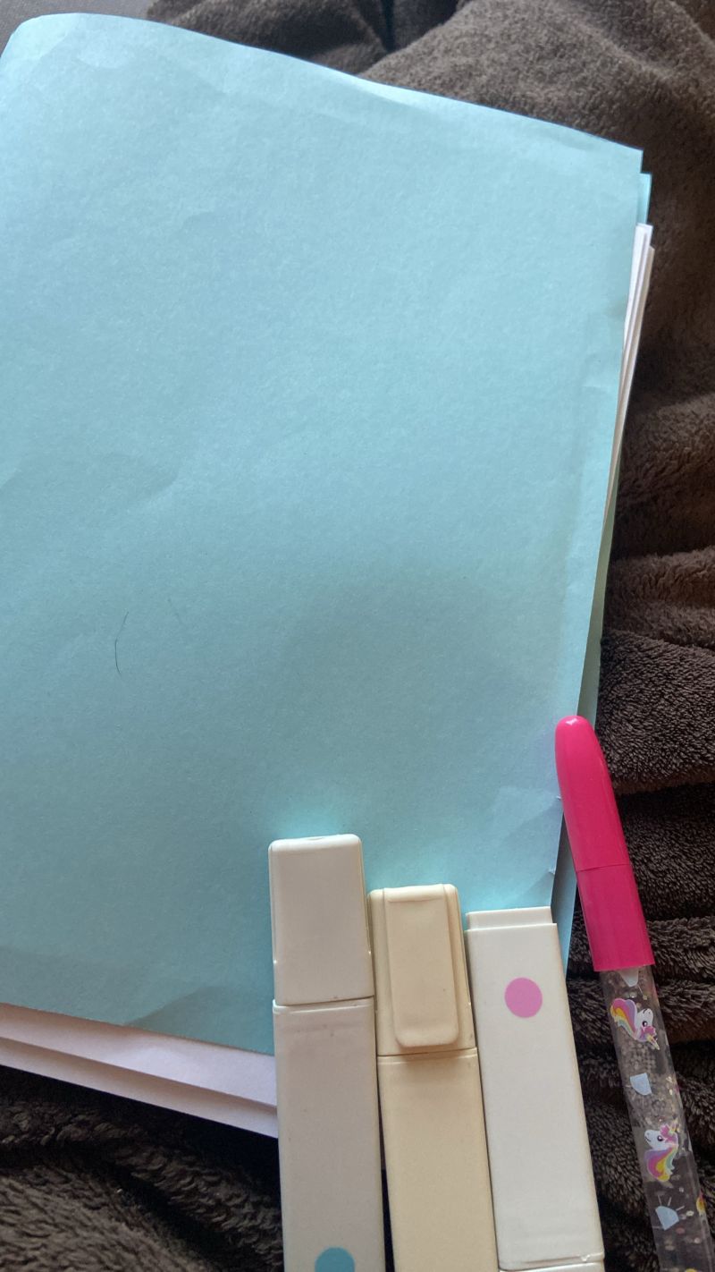 manuela de seltz rédactrice correctrice de manuscrits